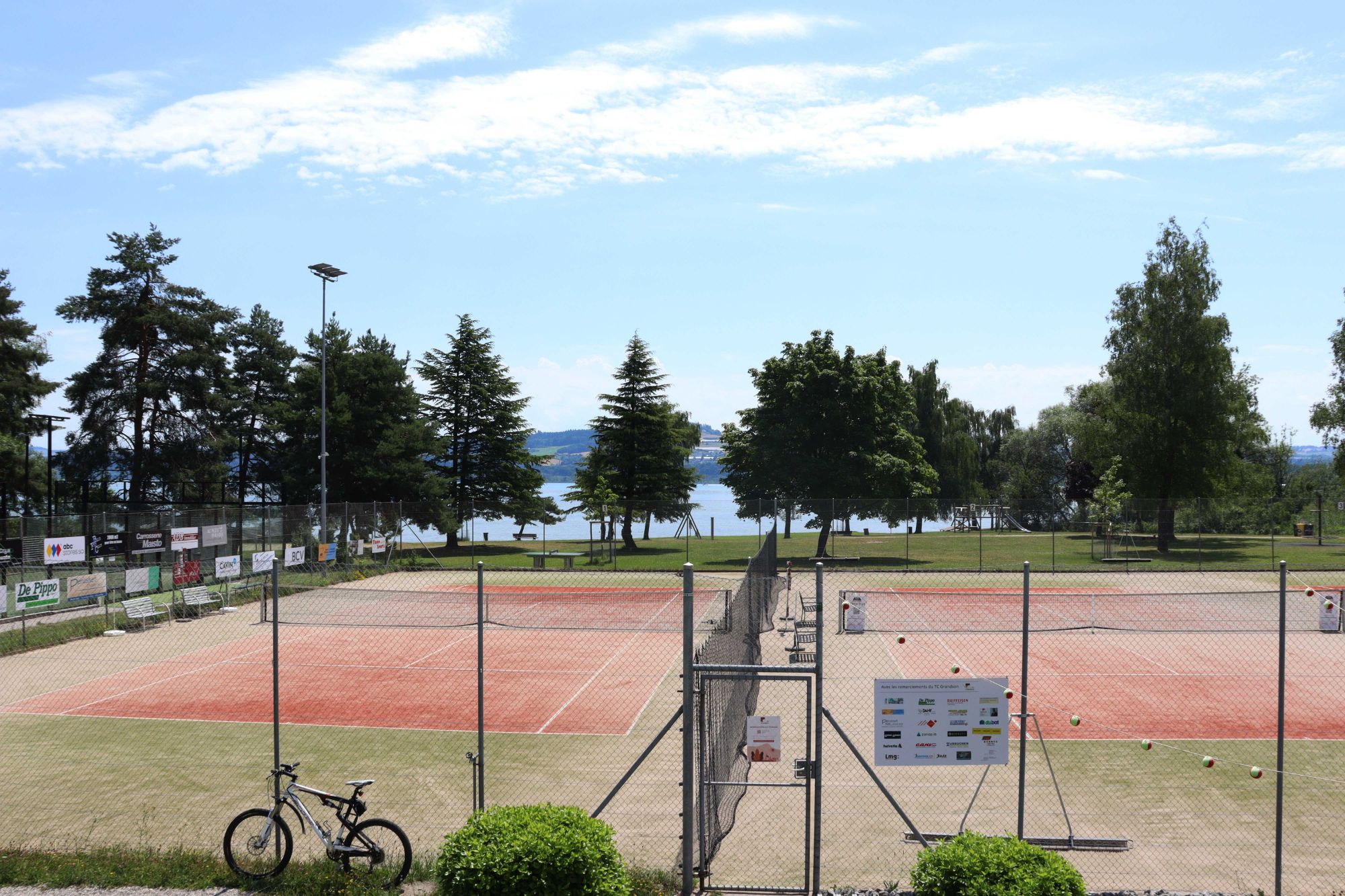 Slide Image